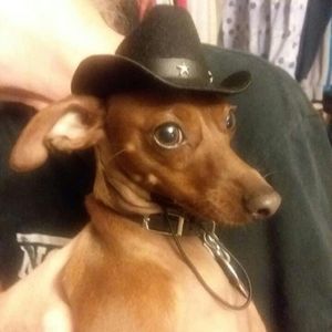 Meet your Posher, Nicholas